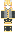 skin of a player