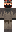 skin of a player
