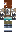 skin of a player