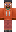 skin of a player