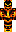 skin of a player