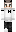 skin of a player