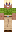 skin of a player