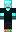 skin of a player