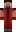 skin of a player