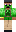 skin of a player
