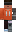 skin of a player