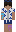 skin of a player