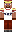 skin of a player