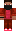 skin of a player