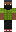 skin of a player