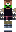 skin of a player