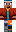 skin of a player