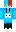skin of a player