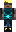 skin of a player