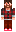 skin of a player