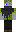 skin of a player