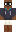 skin of a player