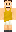 skin of a player