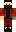 skin of a player