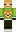 skin of a player