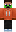 skin of a player