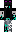 skin of a player