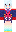 skin of a player