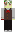 skin of a player