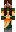 skin of a player