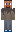 skin of a player