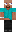 skin of a player