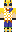 skin of a player