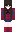 skin of a player