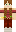 skin of a player