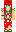 skin of a player