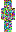 skin of a player