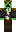 skin of a player