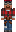 skin of a player