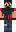 skin of a player