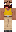 skin of a player