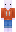 skin of a player