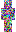 skin of a player