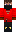 skin of a player