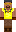 skin of a player