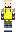 skin of a player