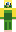 skin of a player