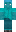 skin of a player