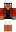 skin of a player