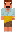 skin of a player